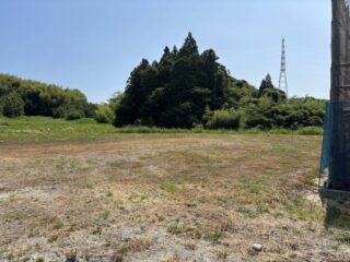 B号地